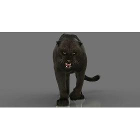 3D Black Panther 3 (FUR) (RIGGED)